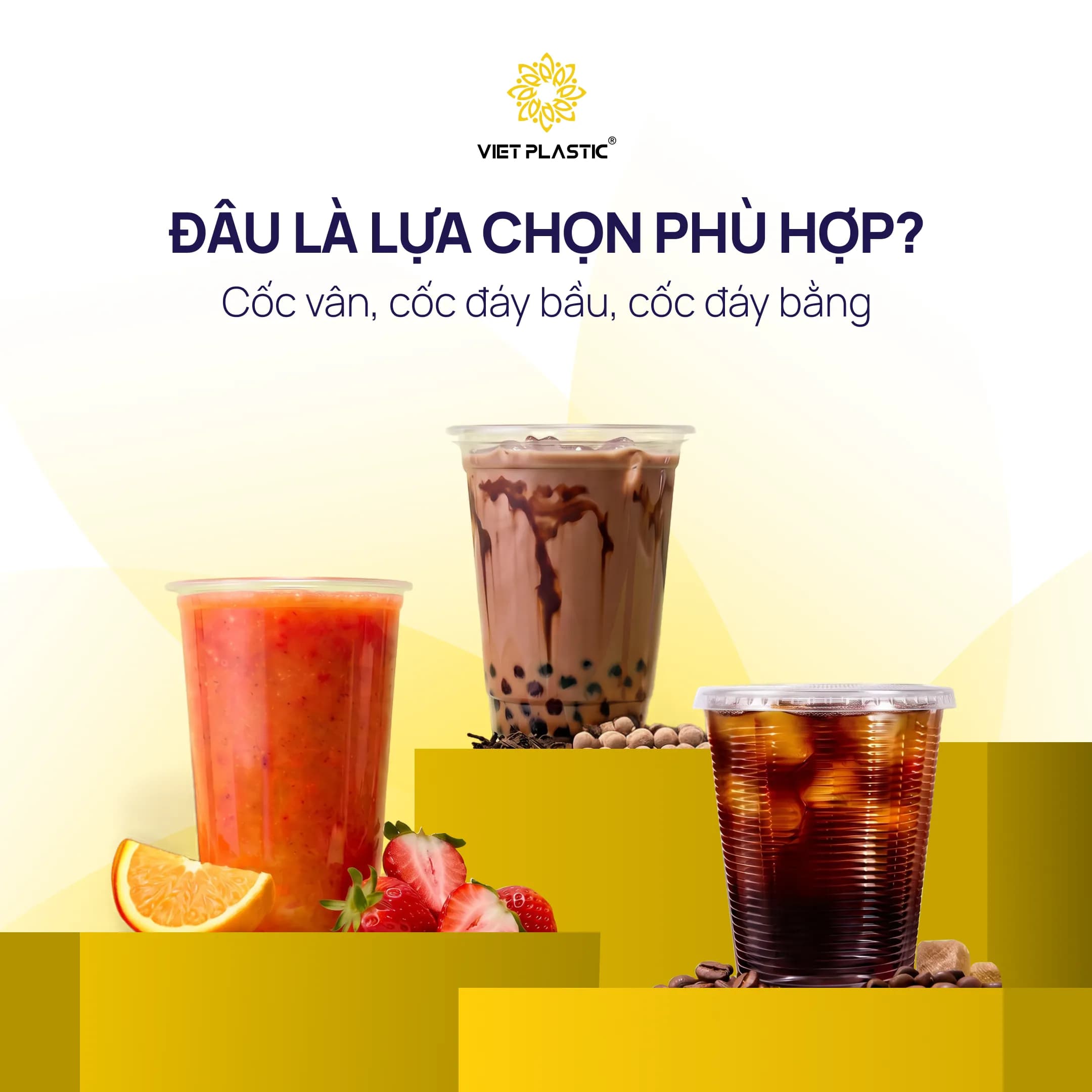 Cốc vân và cốc trơn PP: khi nào nên chọn loại nào?
