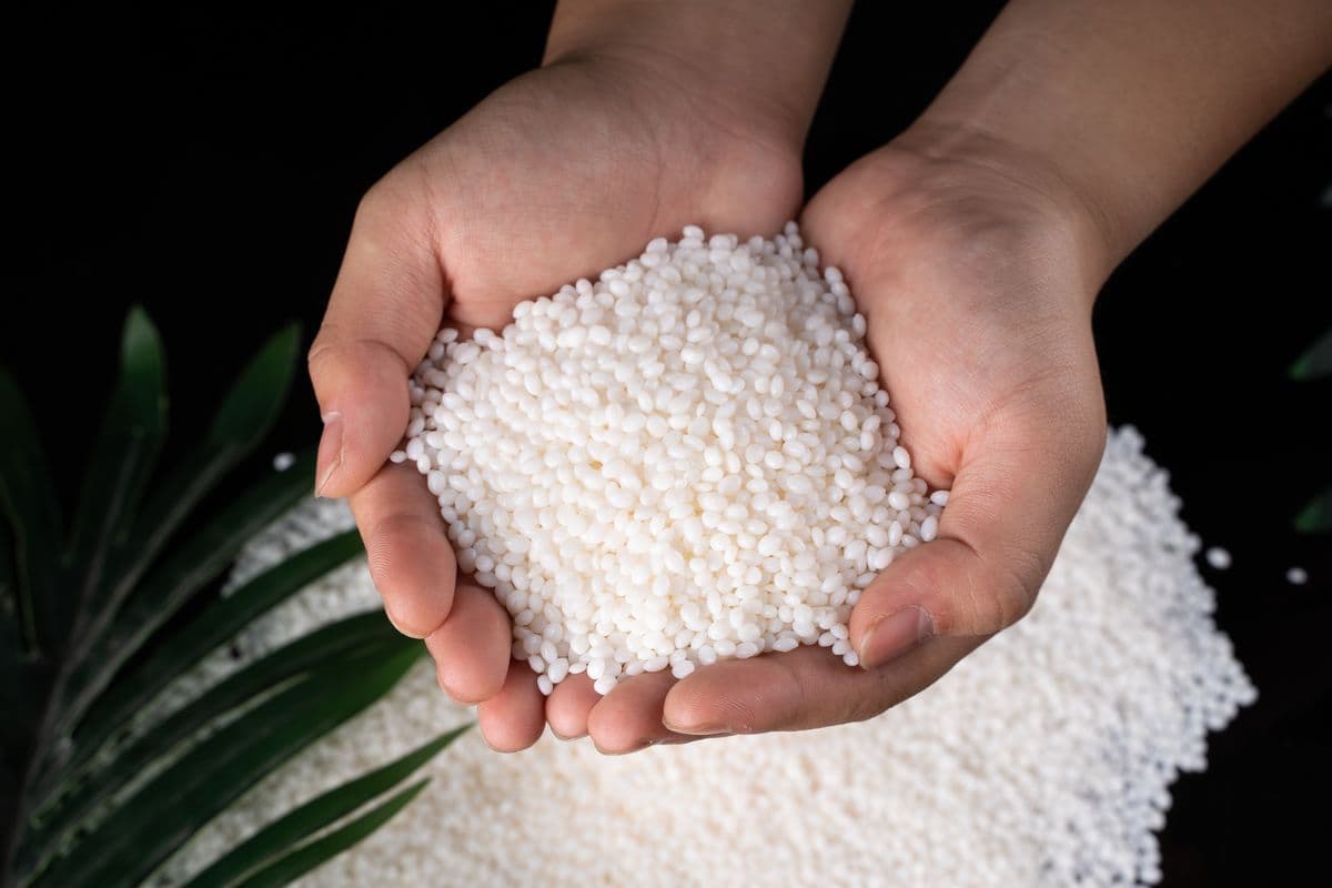 Bàn tay đang cầm vốc hạt nhựa PP nguyên sinh màu trắng trong suốt cao cấp của VietPlastic